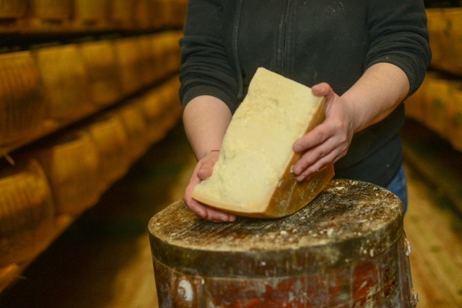 Een paar handen houdt een grote punt Parmezaanse kaas vast, met op de achtergrond rekken vol kaaswielen
