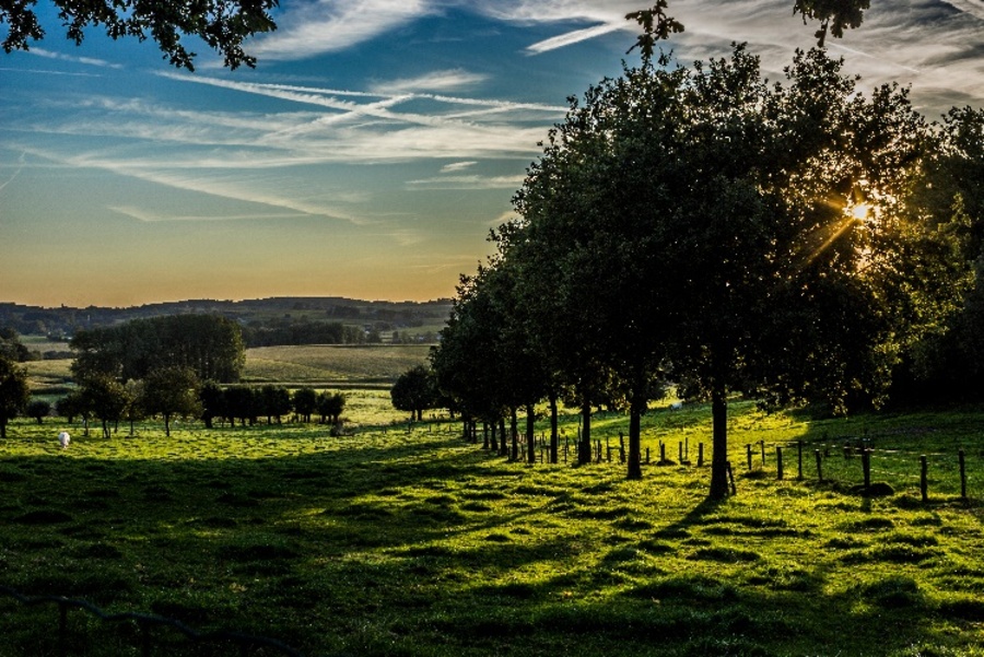 The Flemish Ardennes on a sunny morning