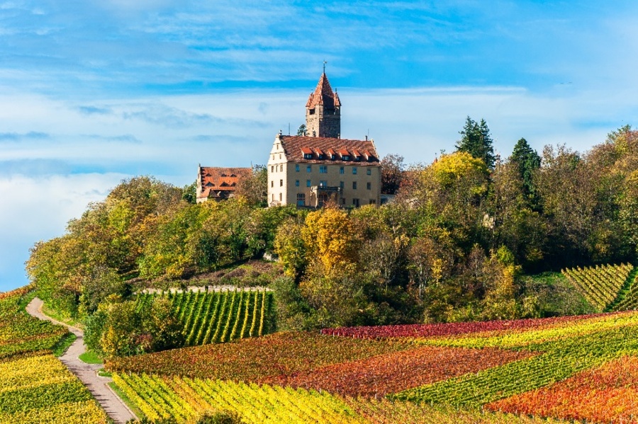 Stocksberg Castle above Brackenheim-Stockheim 