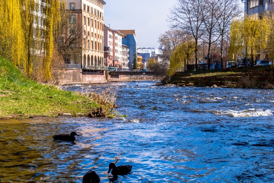 Fluss Enz in Pforzheim, links und rechts begrünte Ufer und Häuserzeilen