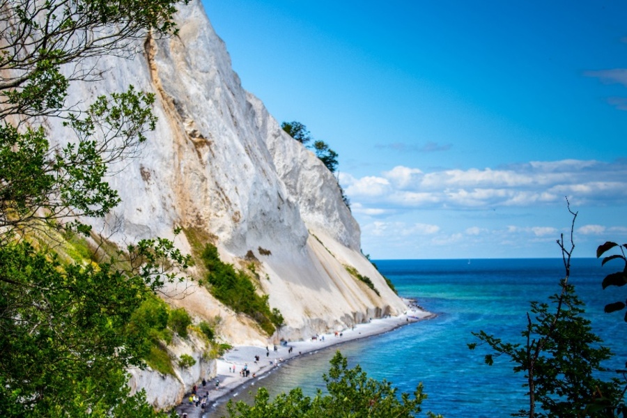 Møns Klint cliffs 