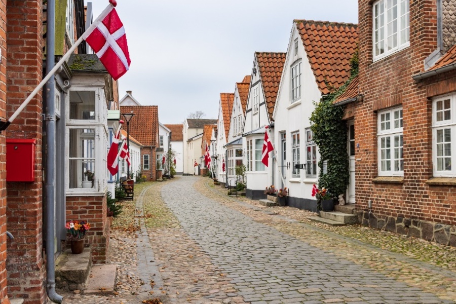 Traditional street in Southern Jutland