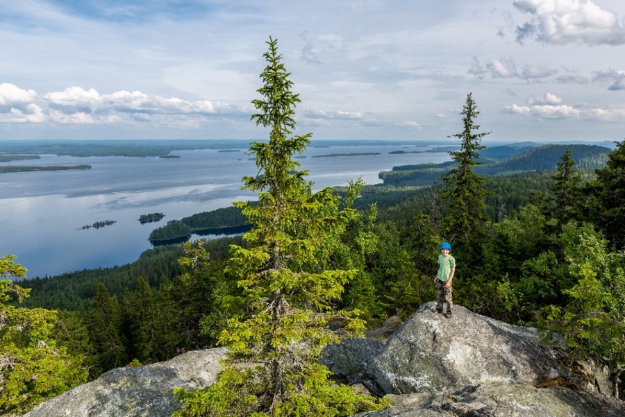 Koli National Park
