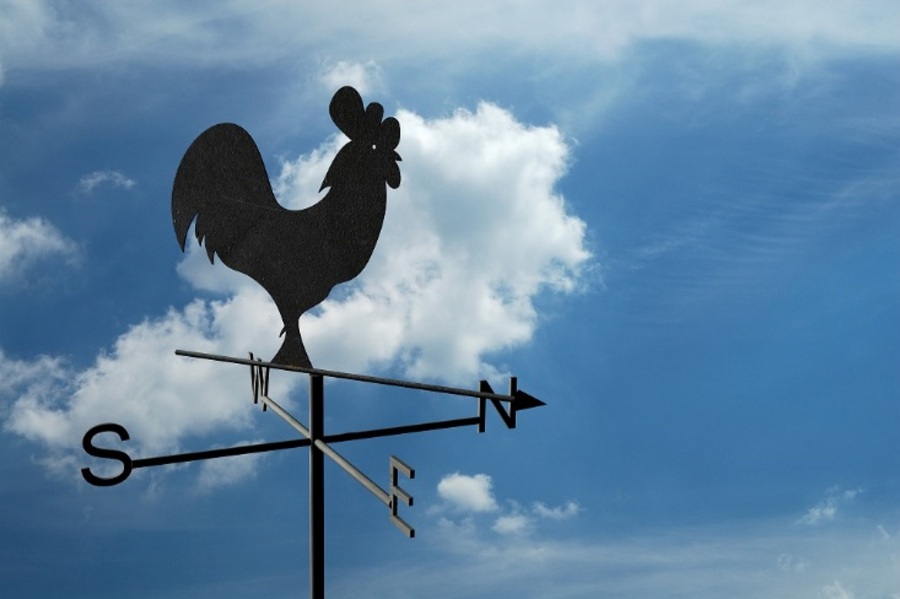 Weather vane pointing towards the north-east