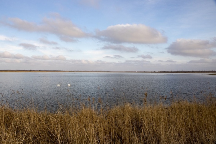 Lauwersmeer lake