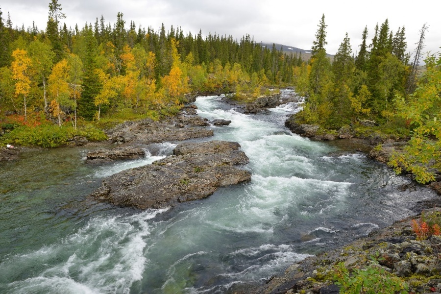 A stretch of wild land on the border between Sweden and Norway