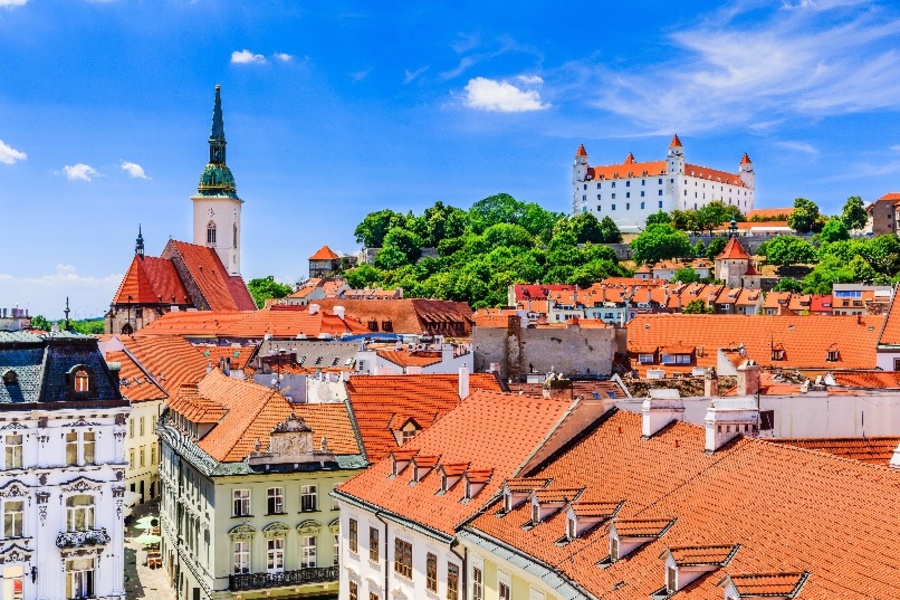 Panorama of the City of Bratislava with the Cathedral